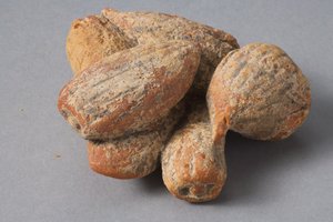 Fichi e mandorle